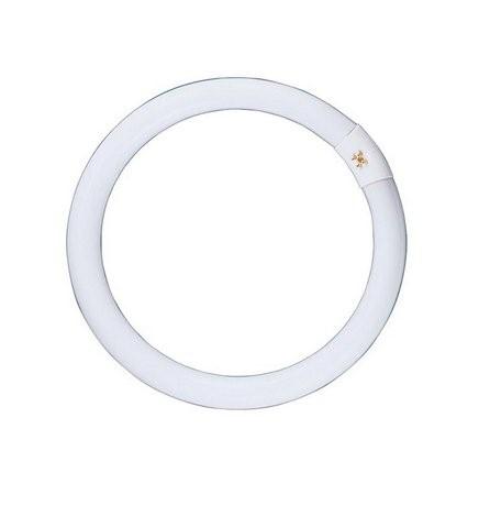 GLOBE FL G10Q T9 CIRC 22W TRIPHOS 5000K OD209mm 1210 Lm