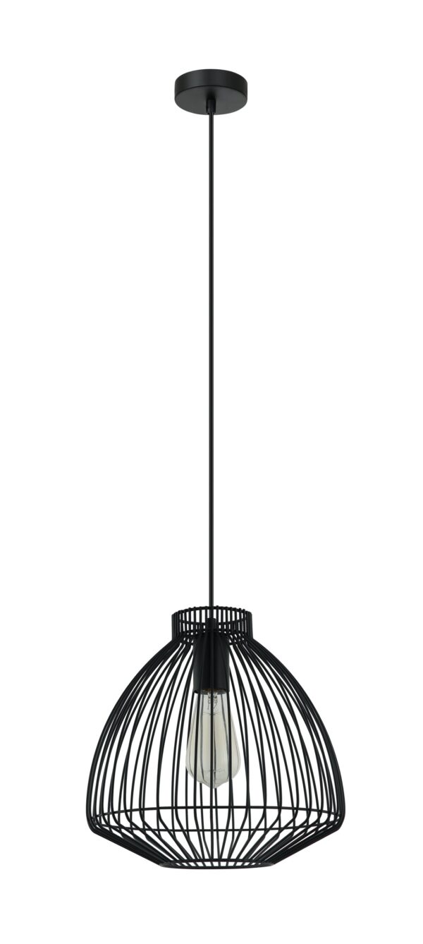 PENDANT ES OD300mm H285mm BLK Cone (Concave) Wire Cage