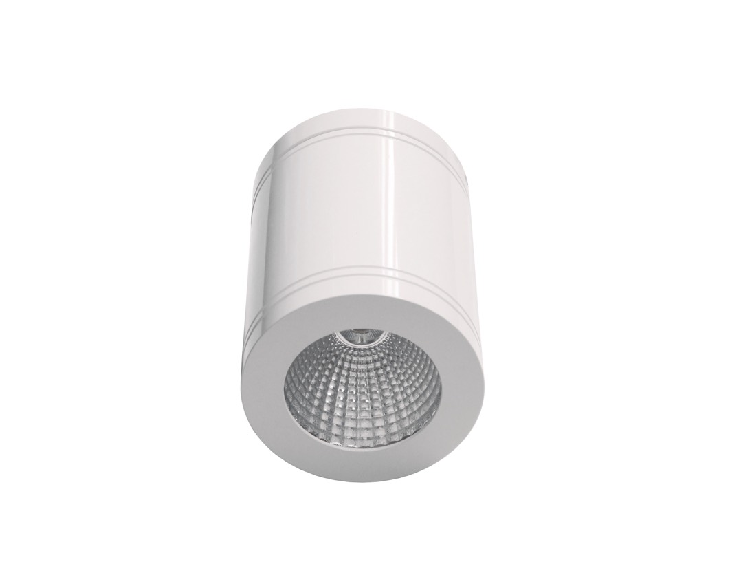 D/L FIXED S/M DIMM 13W RND Wh 3K 40D IP65 D105mm 800 Lm