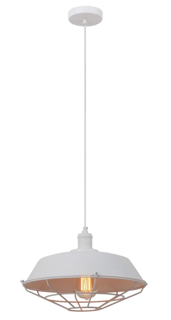 PENDANT ES Wh DOME w/cage OD360mm