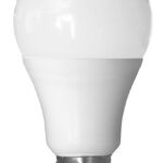 GLOBE LED ES GLS 13W 3000K FR 1055 Lm