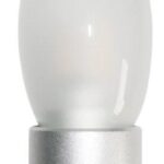 GLOBE LED ES CAN 4W 5000K FR 300D 300 Lm